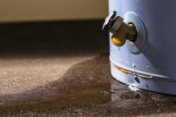 Best 24-hour water damage restoration  in Valenti, NE
